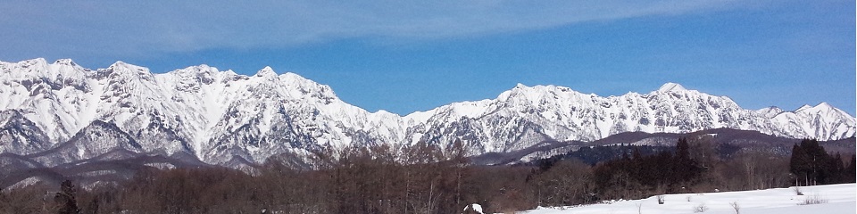 CMS専門：ブログ・CMSのテーマ制作を 専門にしているWebデザイナーが作りました。WebbingStudioについては画像をクリック